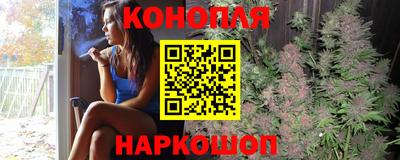 МДПВ Гусев
