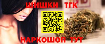 МДПВ Гусев